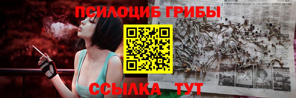 Торжок  Галлюциногенные грибы мицелий  Вход с VPN 
